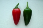 04: Two chillies from the greenhouse.