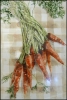 27: Carrots by T.Gross