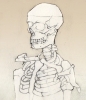02: Skeleton