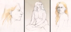 Three studies of Gracie
