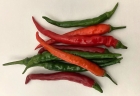 05: The last of the chillis