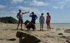 14: On the beach at Monkstone Point ...