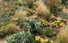 New Planting for global warming