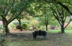 01: Colby garden, Pembrokeshire