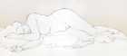 Drawing using the proportional divider