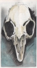 05: Skull